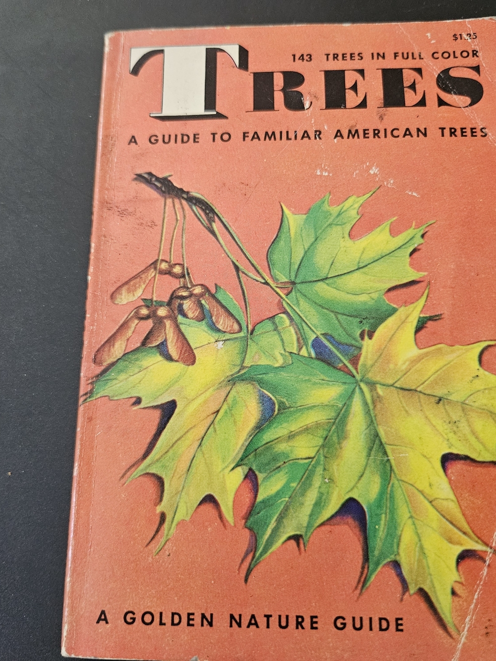 1956 - Vintage 'Trees' Nature Guide Book
